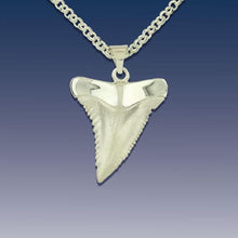 Load image into Gallery viewer, Shark Tooth Pendant Necklace  - Sterling Silver