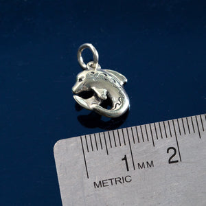 Dolphin Charm - Sterling Silver Dolphin Charm - Dolphin Jewelry - Dolphin charm on o ring