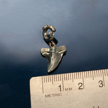 Load image into Gallery viewer, Shark Tooth Charm Bead on Coral Spacer Bead Sterling Silver