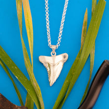 Load image into Gallery viewer, Shark tooth necklace - shark tooth jewelry - sterling silver shark tooth - shark Necklace shark tooth jewelry