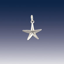 Load image into Gallery viewer, starfish charm - beach starfish bracelet charm on o ring - fits on traditional style bracelets - beach charms
