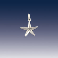 Load image into Gallery viewer, starfish charm - beach starfish bracelet charm on o ring - fits on traditional style bracelets - beach charms