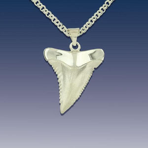 Shark Tooth Pendant Necklace  - Sterling Silver 