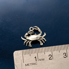 Load image into Gallery viewer, crab charm on o-ring - crab charms - crab jewelry beach charms
