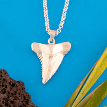 Load image into Gallery viewer, Shark tooth necklace - shark tooth jewelry - sterling silver shark tooth - shark Necklace shark tooth jewelry
