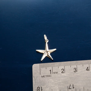 starfish charm - beach starfish bracelet charm on coral spacer - fits on traditional charm bracelets - beach charms